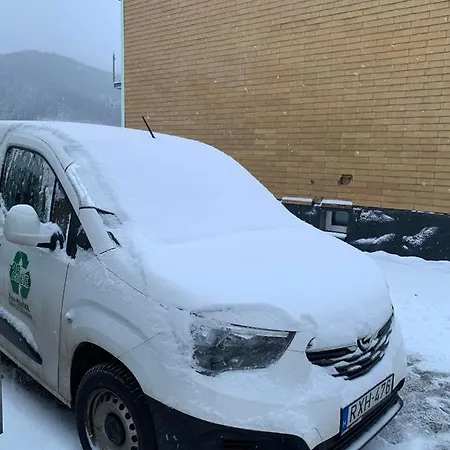 Eisenerzer Apartmenthaus * Айзенэрц