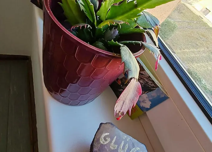 Eisenerzer Apartmenthaus Apartment Eisenerz